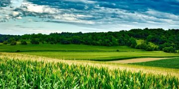 Sredstva za poljoprivredno zemljište TK: Rok za dostavu projekata do 20. februara 2026.