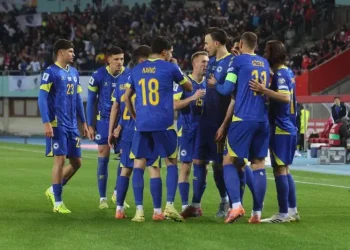 zmajevi, reprezentacija bih