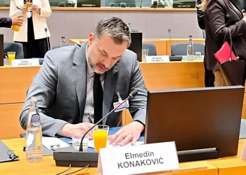 Elmedin Konaković