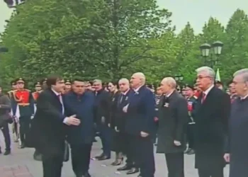 parada u Moskvi, Stevandic, Putin