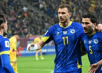 Reprezentacija BiH