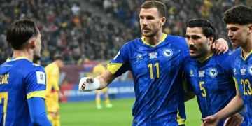 Reprezentacija BiH