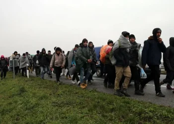 Migranti u BiH