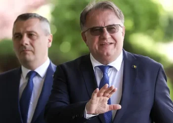 Nermin Nikšić