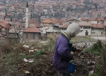 Sarajevo safari
