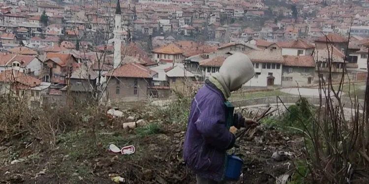 Sarajevo safari