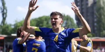 Tarik Muharemović u dresu BiH