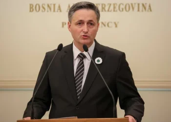 Denis Bećirović