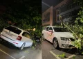 drvo palo na automobil Tuzla