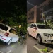 drvo palo na automobil Tuzla