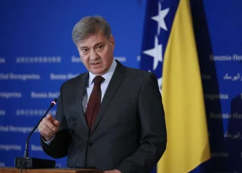 Denis Zvizdić