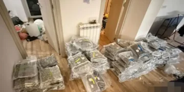 Velika zapljena droge u Srbiji: U stanu pronađeno 180 kilograma marihuane i 18 kilograma kokaina